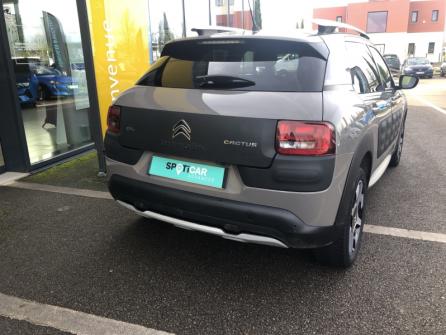 CITROEN C4 Cactus PureTech 110 Rip Curl S&S à vendre à Sens - Image n°4