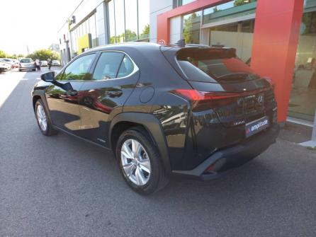 LEXUS UX 250h 2WD Pack Business MY20 à vendre à Melun - Image n°7