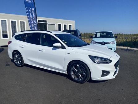 FORD Focus SW 2.0 EcoBlue 150ch ST-Line BVA à vendre à Châteauroux - Image n°3