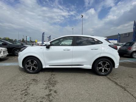 FORD Puma 1.0 EcoBoost Hybrid 125 ch ST-Line S&S Powershift à vendre à Troyes - Image n°8